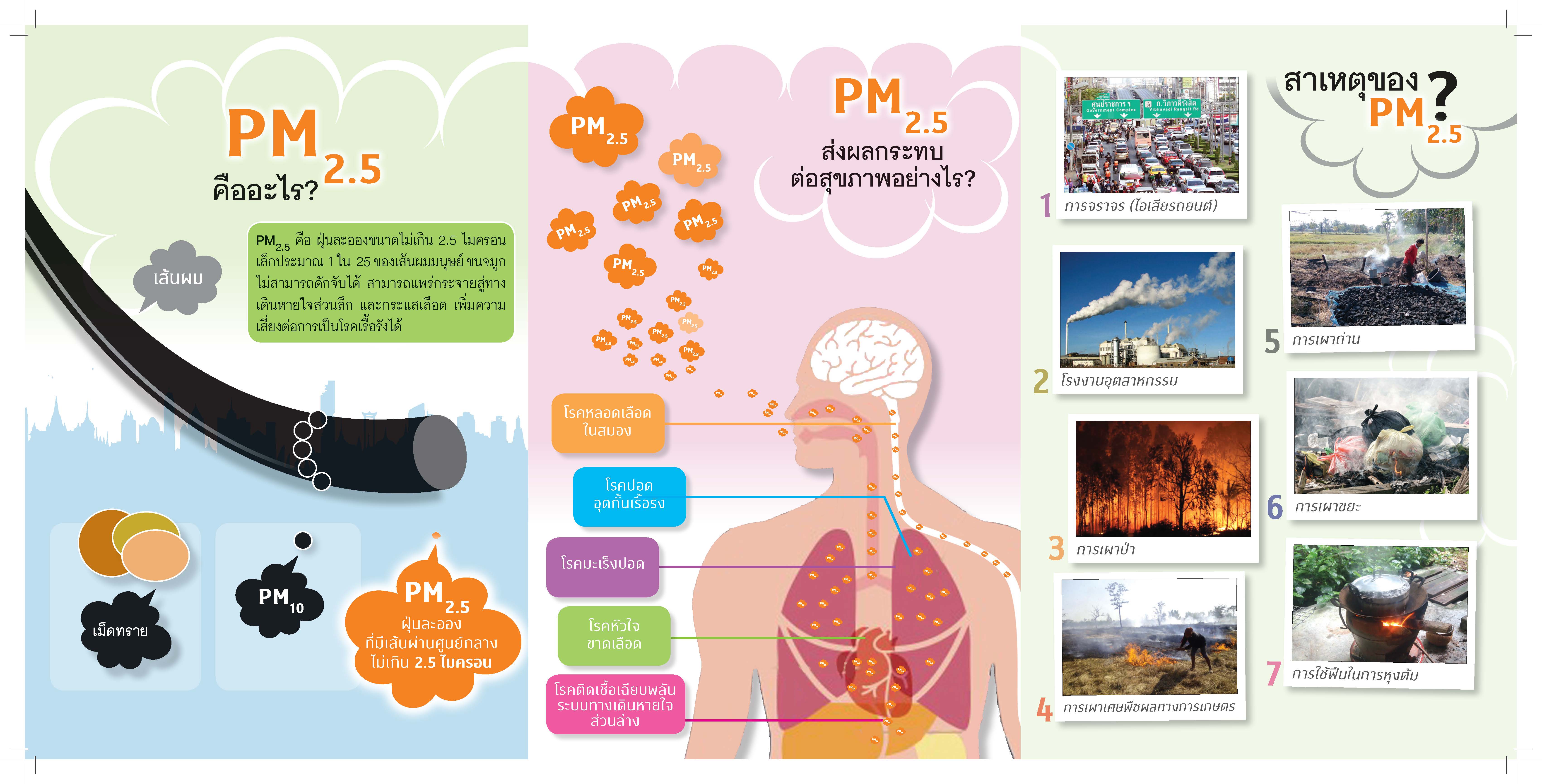 มาตราการป้องกันและแก้ไขปัญหา p m 2 . 5